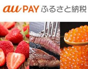 au PAY ふるさと納税