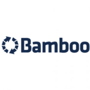 Bamboo