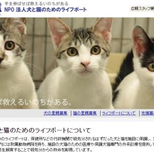 ハッピーハウスの実際の評判 レビュー 口コミ クチコミネット