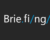 Brie.fi/ng（ブリーフィング）
