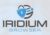 Iridium Browser(イリジウム)